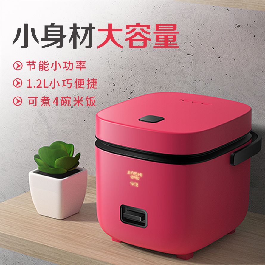 Compact Mini Rice Cooker – Perfect for 1-2 People, Ideal for Small Kitchens