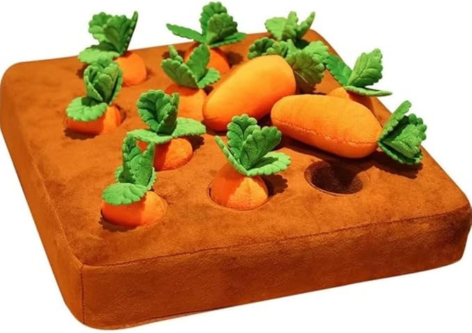 Carrot Toy